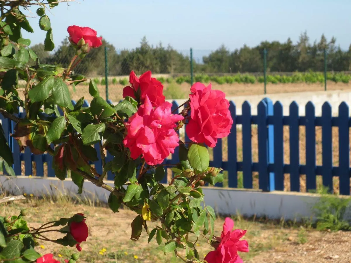 Vakantiehuis Casa Rural Ideal Para Parejas - Formentera San Francisco Javier Spanje
